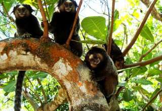 Pagando mico em Itapeba